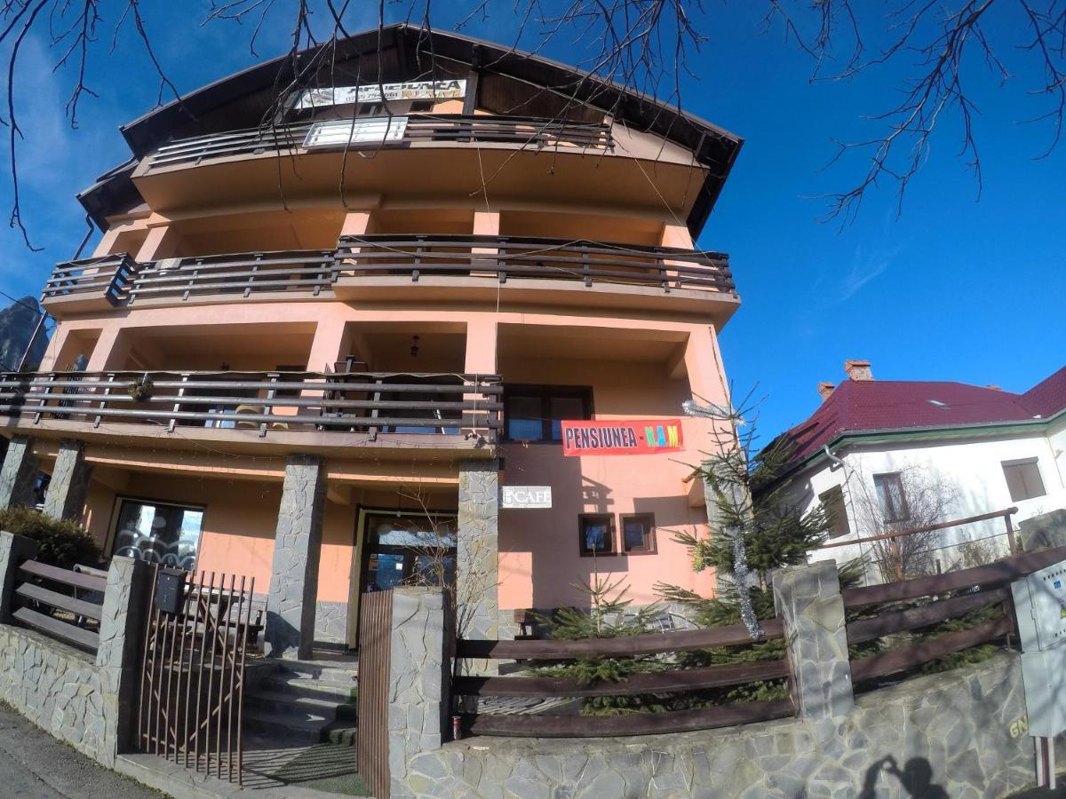 Pensiunea N.A.M Busteni Exterior photo